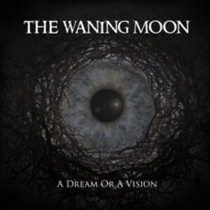 A Dream Or A Vision (LP)