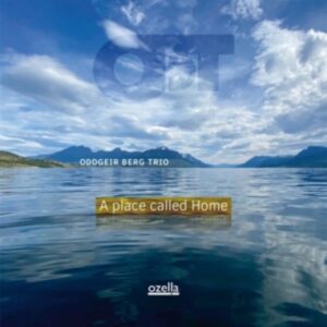 A Place Called Home (LP)