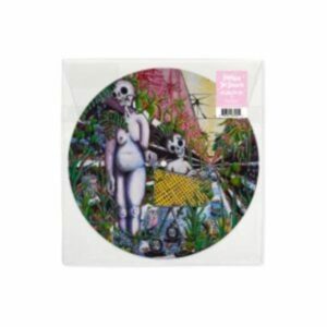 Any Shape You Take (Picture Disc)