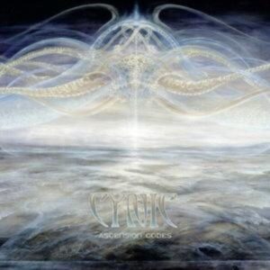 Cynic: Ascension Codes