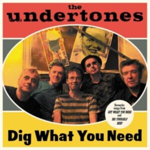 Dig What You Need (Best Of 2003-2007)