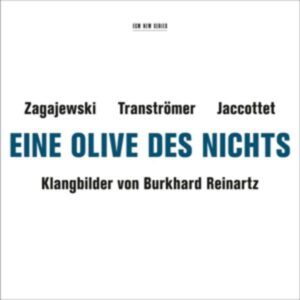 Eine Olive Des Nichts