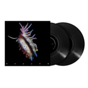 Evolve (2LP)