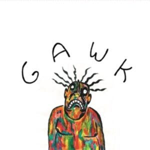 GAWK (Eco Mix Vinyl)