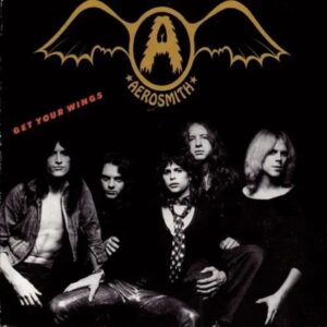 Get Your Wings (Vinyl)