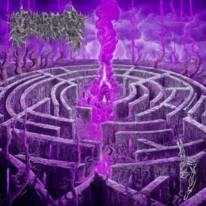 Maze Envy (Purple/Magenta Merge Vinyl)