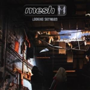 Mesh: Looking Skyward