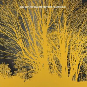 Nada Surf: Stars Are Indifferent To Astronomy (Ltd.Edt.)