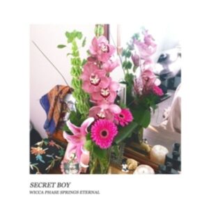 Secret Boy (Doublemint Green Vinyl)