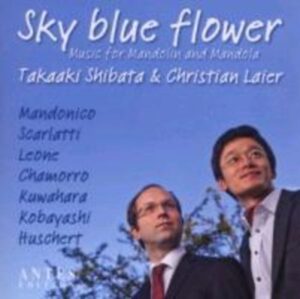 Sky Blue Flower