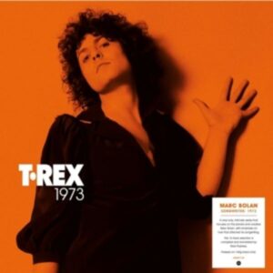 Songwriter: 1973 (Black Vinyl)
