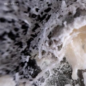 Thaw (180Gr./Gatefold)