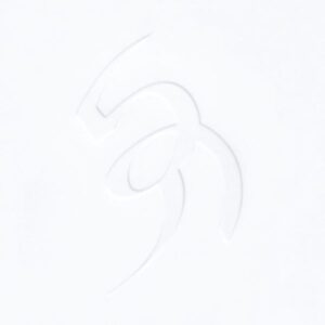 Vis (Transparent 2LP)