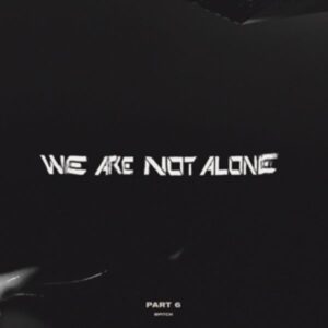 We Are Not Alone-Part 6 (2LP)