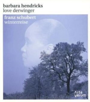 Winterreise D.911