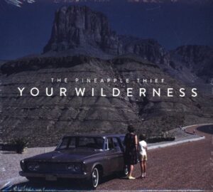 Your Wilderness